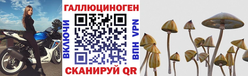 что такое наркотик  Черемхово  Псилоцибиновые грибы Psilocybine cubensis 